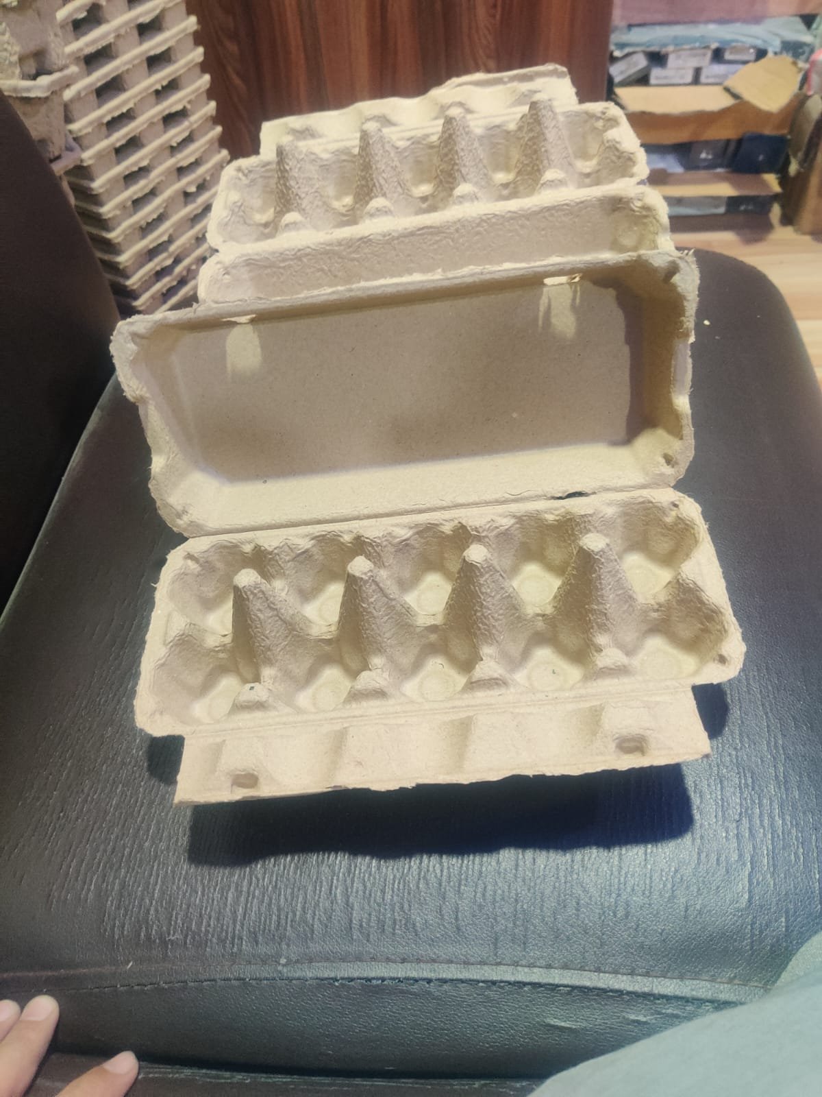 Egg Carton 9